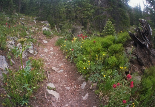 Baker Gulch Trail